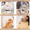 👨‍🚀Say Goodbye to Scratches and Bites: Kitten Astronaut Helmet