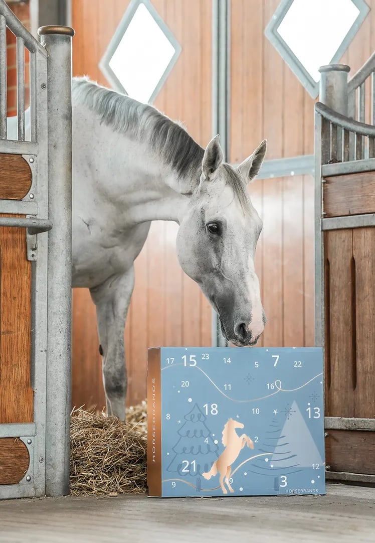 💥LIMITED TIME FLASH SALE💥-HORSEBRANDS Advent Calendar 2024