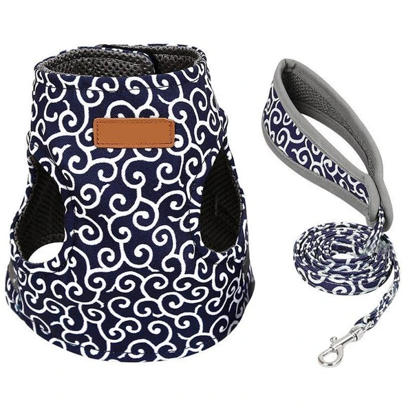 50% Off Cat Vest Harness and Leash Set to Outdoor Walking, Buy 2 Free Shipping