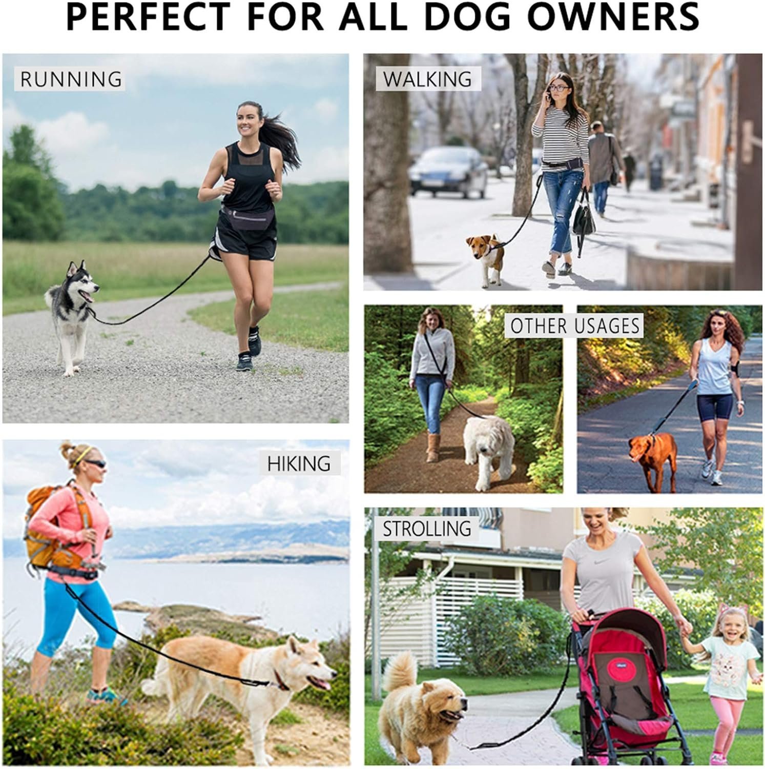 🎁TikTok Last Day Sale - 70% OFF🎉Hands Free Dog Leash with Zipper Pouch