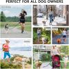 🎁TikTok Last Day Sale - 70% OFF🎉Hands Free Dog Leash with Zipper Pouch