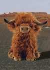 🐂Eco-Friendly Scottish Highland Cow Soft Plush Toy
