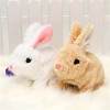 (🔥MOTHER'S DAY SALE 80% OFF) Bunny Toys Educational Interactive Toys Bunnies Can Walk and Talk ⚡Buy 2 Get 1 Free & Free Shipping