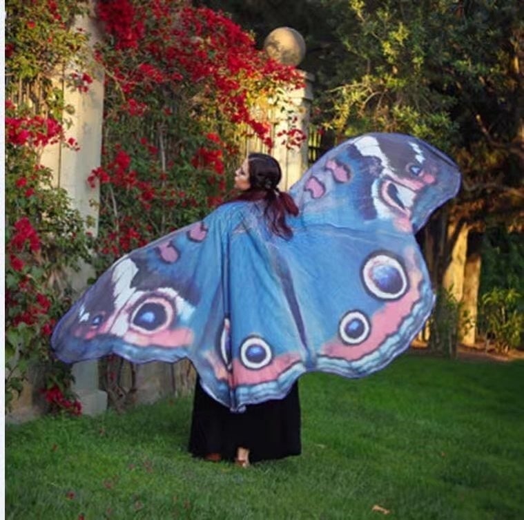 🎁TikTok Last Day Sale - 70% OFF🎉Magic cape🧚🦋