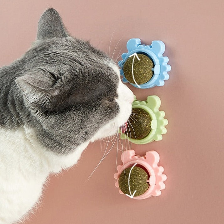 🔥Last day 50% OFF-FelineFrenzy Catnip Ball 🔥Buy 5 get 8 Free