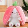 🍓🍓Strawberry Bunny Transformed into Little Rabbit🎀 Fruit Doll Plush Toy🐰🐰