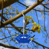 (🔥Last Day Promotion-SAVE 50% OFF) Mary's Hummingbird Feeder With Perch And Built-in Ant Moat-BUY 2 FREE SHIPPING