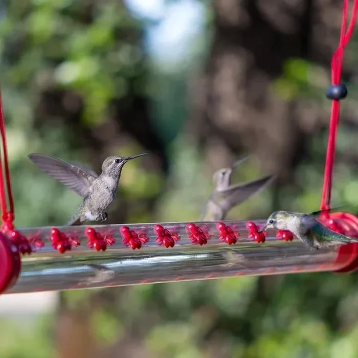 🔥LAST DAY 70% OFF-Flower bar hummingbird feeder