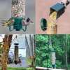 🔥Last Day 49% OFF🐦Squirrel-Proof Bird Feeder💥Buy 2 Get Free Shipping