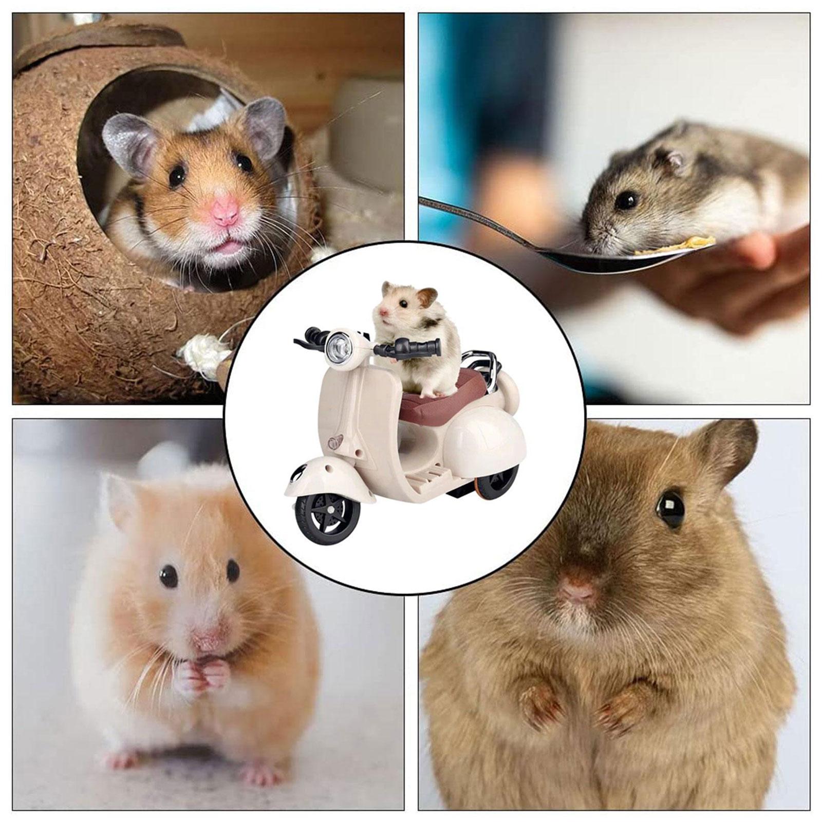 💥Limited Time Sale 70% OFF🎉 Hamster 360° Rotating Swing Electric 🏍 Motorcycle(💝BUY 2 GET FREE SHIPPING)