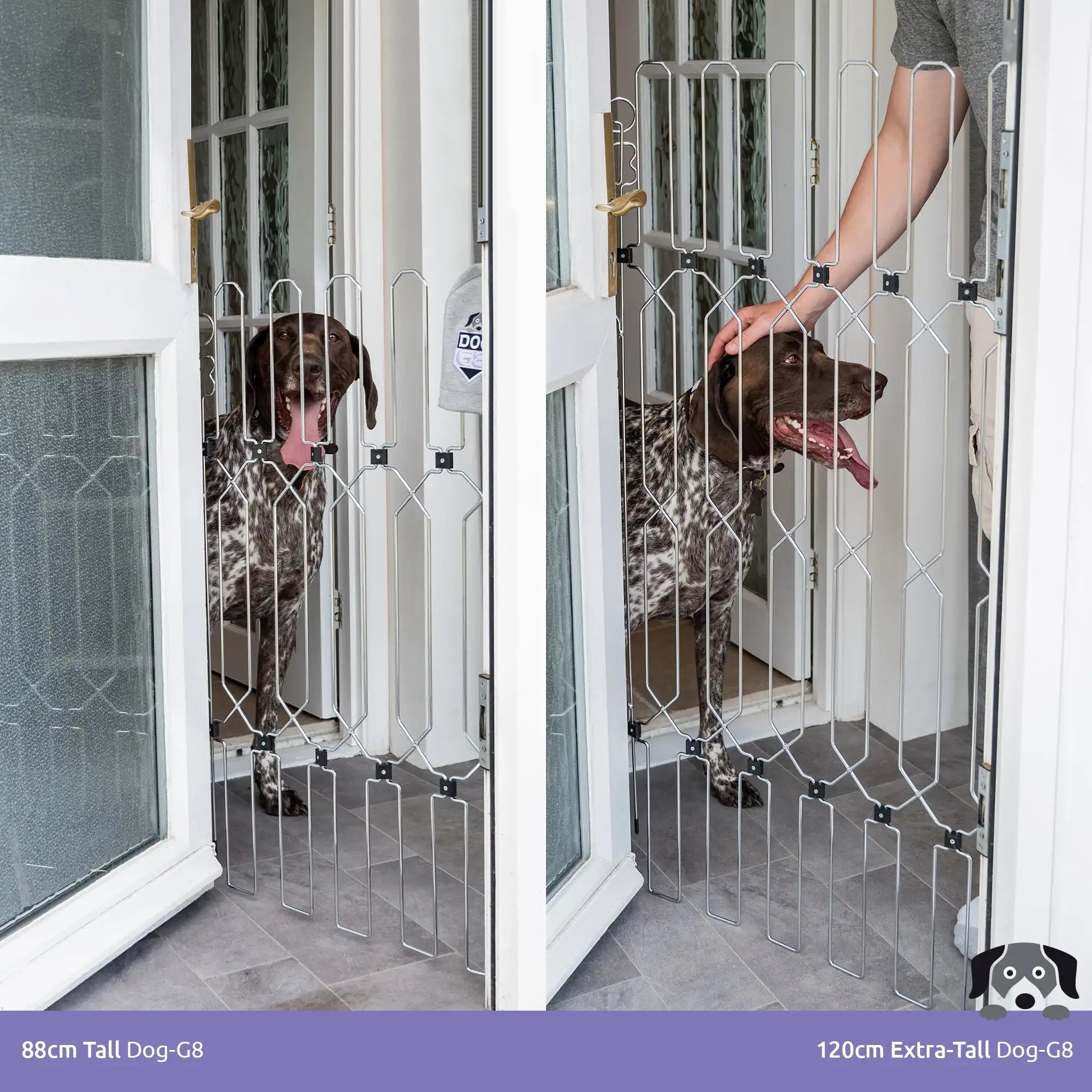 Retractable Dog Gate for Front Doors