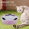 Buy 2 Free Shipping-Cat Toy with Running Mouse