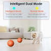 🔥New Year Promotion 48% OFF🐶😺Automatic Rolling Ball Pet Toy🎁Buy 2 Free Shipping