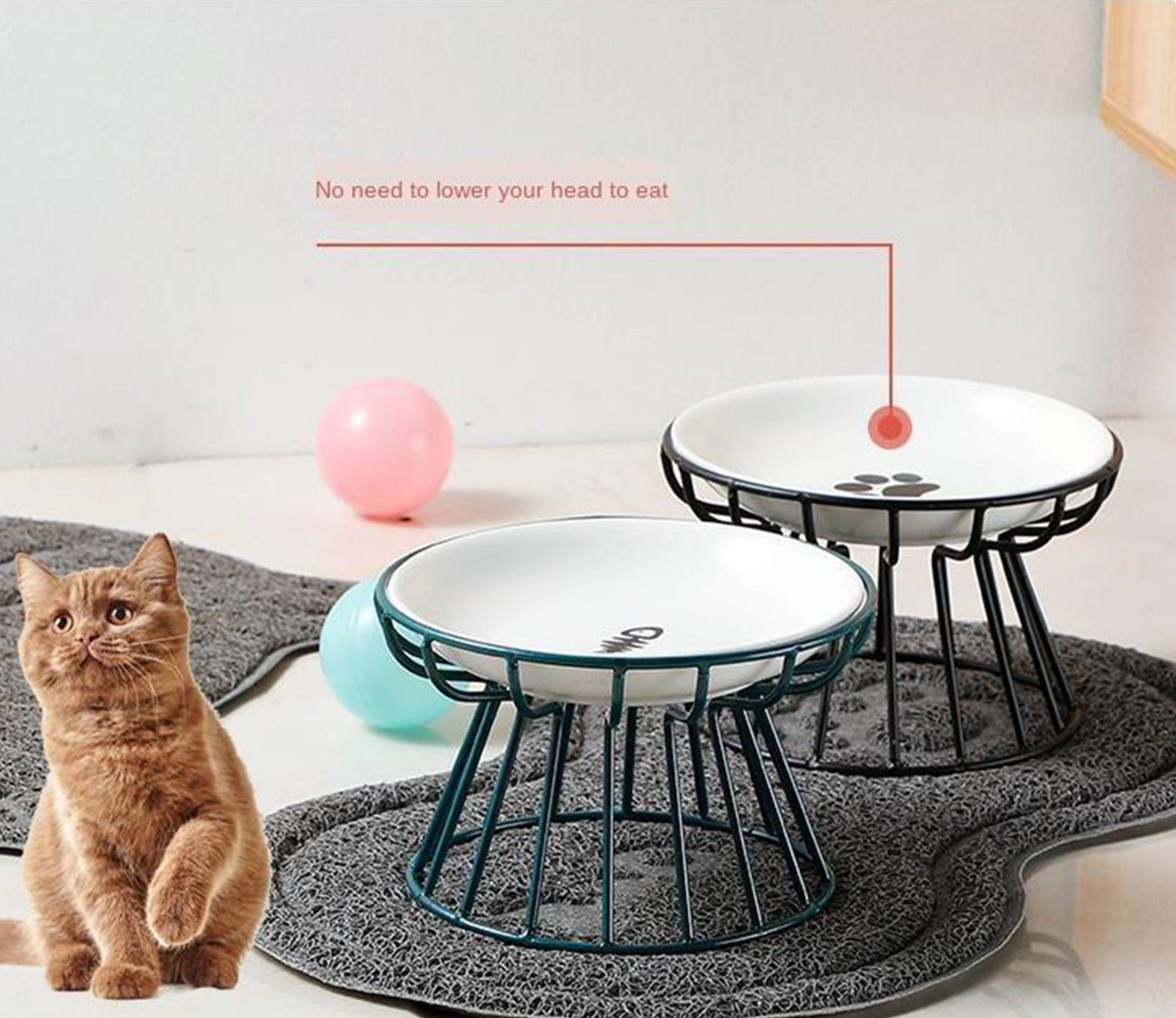 💲ONE DAY 70% OFF🥣Whisker-Friendly Anti-Vomit Cat Plate🔥Buy 2 Get Free Shipping
