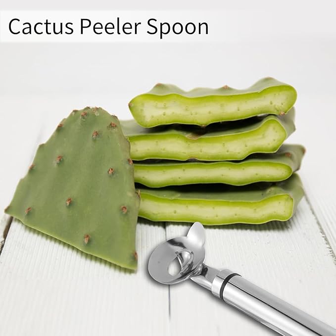 🎁TikTok Last Day Sale - 70% OFF🎉Cactus Peeler Spoon 🌵- Essential Tools for Cactus Lovers🔥