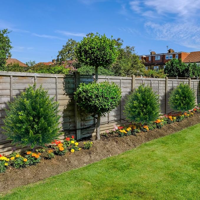 🌳UV-beständiger künstlicher Formschnitt-Kugelbaum aus Zeder