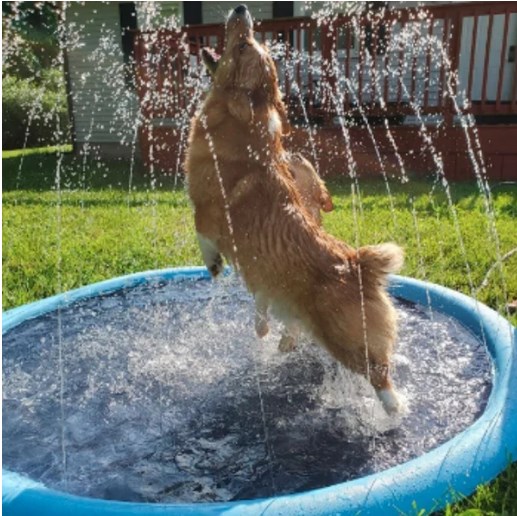 🐕Non-Slip Splash Sprinkler Pad for Pets