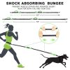 (Last Chance- Save 50% OFF)Handsfree Bungee Dog Leash- Buy 2 Get Free Shipping