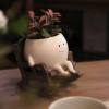 TikTok Last Day Promotion -60% OFF🎉Smily Face Planter Pot