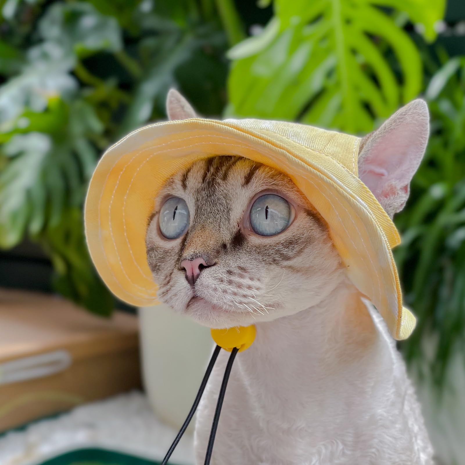 🔥Hot Sale 49% OFF🔥 - Pet hat with Ear Holes Sunscreen Baseball Cap