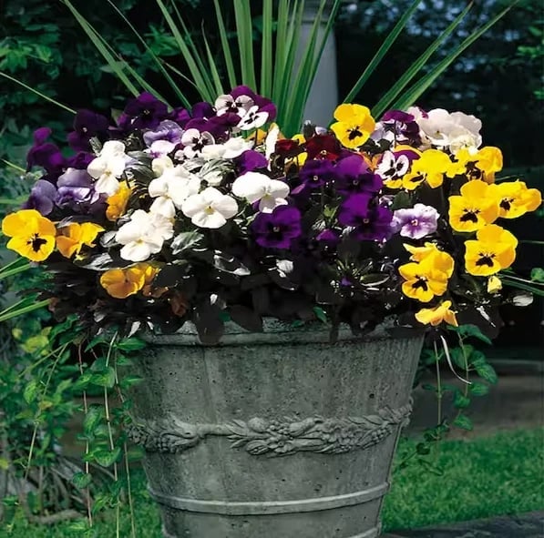 💐Last Day 70% OFF-Outdoor Artificial Pansy Flowers