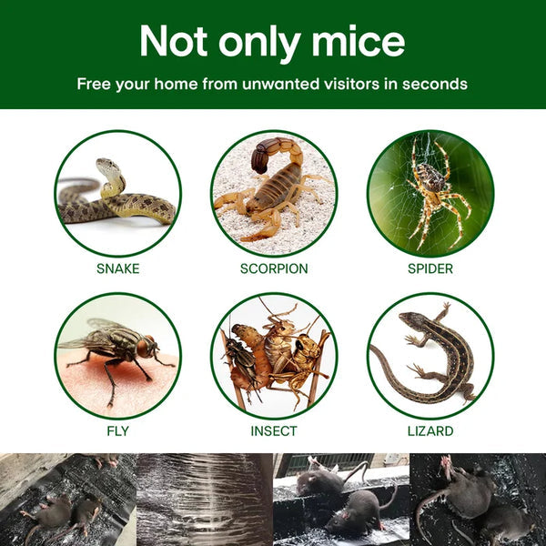 💥Limited Time 70% OFF🔥Large Sticky Mouse Trap