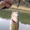 Metal VIB Leech Spinners Spoon Lure