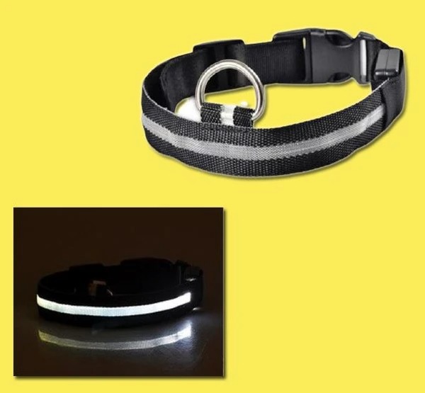 Last Day Promotion 48% OFF - LED Dog Collar(Buy 4 Get 20% OFF&Free Shipping)