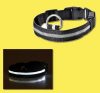 Last Day Promotion 48% OFF - LED Dog Collar(Buy 4 Get 20% OFF&Free Shipping)