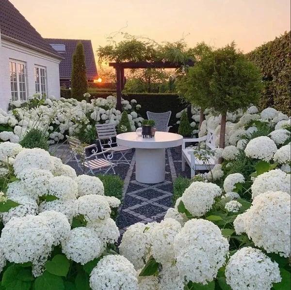 Flores De Hortensias Artificiales Al Aire Libre💐