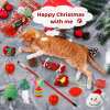 🔥Last Day Promotion 48% OFF-🎁-2024 Christmas Countdown Cat Toy Advent Calendar🐱