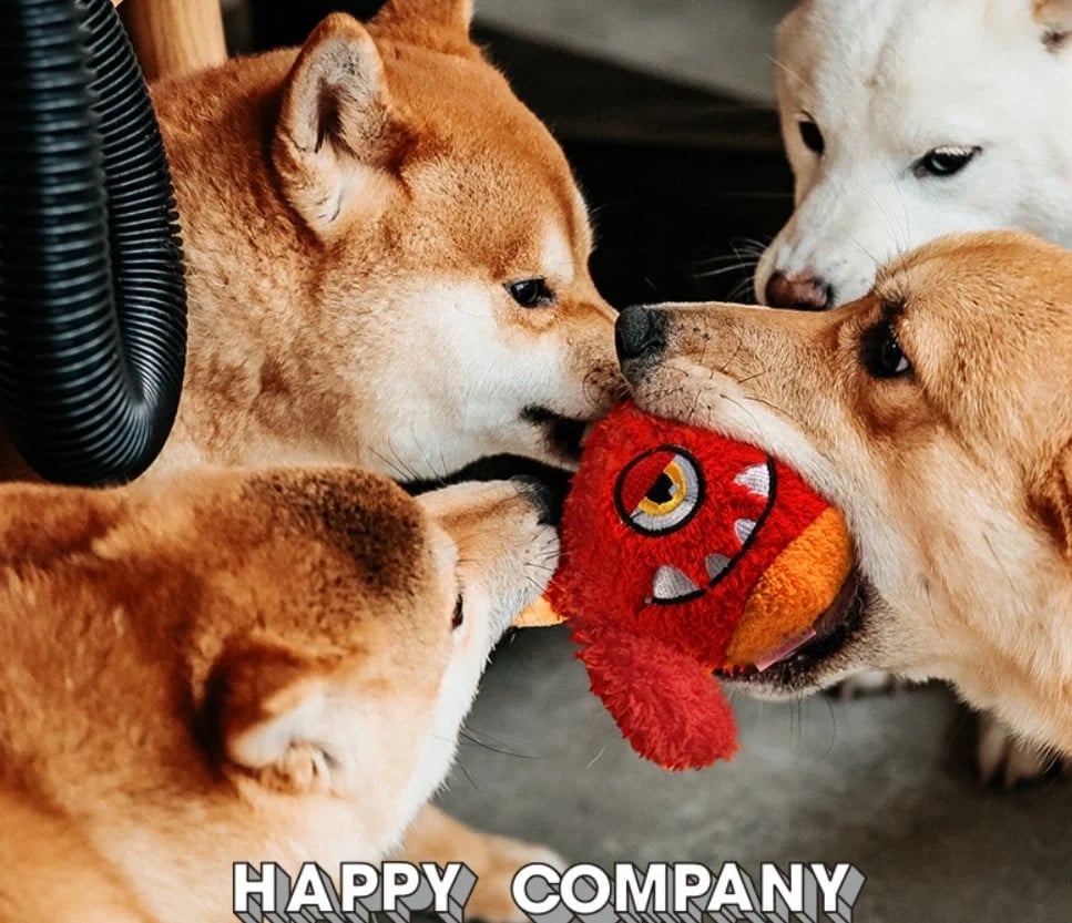 🔥Last Day Promotion 70% OFF🔥Monster DogActive Ball