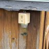 🔥Best Carpenter Bee Trap--𝗕𝘂𝘆 𝟮 𝗚𝗲𝘁 𝗘𝘅𝘁𝗿𝗮 𝟭𝟬% 𝗢𝗙𝗙 & 𝗙𝗥𝗘𝗘 𝗦𝗛𝗜𝗣𝗣𝗜𝗛𝗚 𝗧𝗢𝗗𝗔𝗬