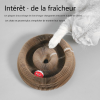 Un acheté, un offert !🔥Planche à gratter pour chat, jouet pour chat avec clochette🐾🐾