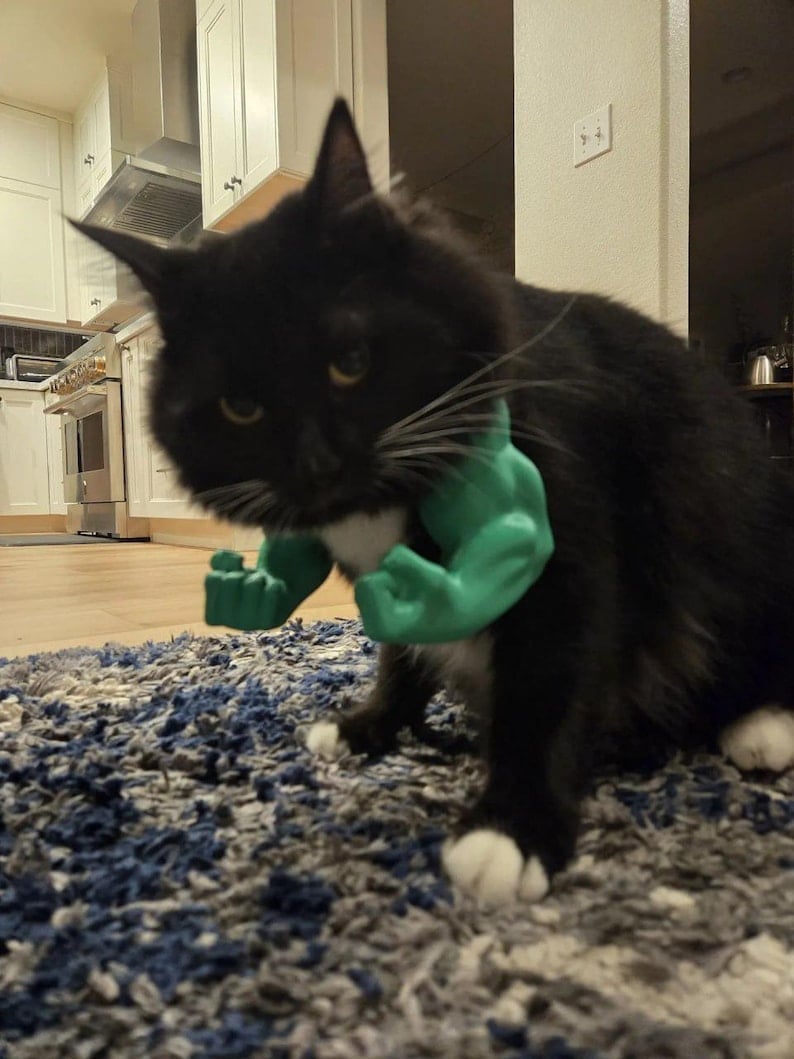 🎁Last Day Sale - 70% OFF🔥Creative Pets Green Giant arm💪