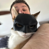 (🎃Halloween Hot Sale - 49% OFF) 🐱🦸‍♂️Bat Cat Avenger Mask