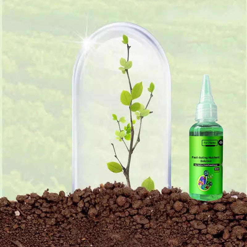 Last Day 70% OFF🔥Fast-Acting Nutrient Solution for Plants