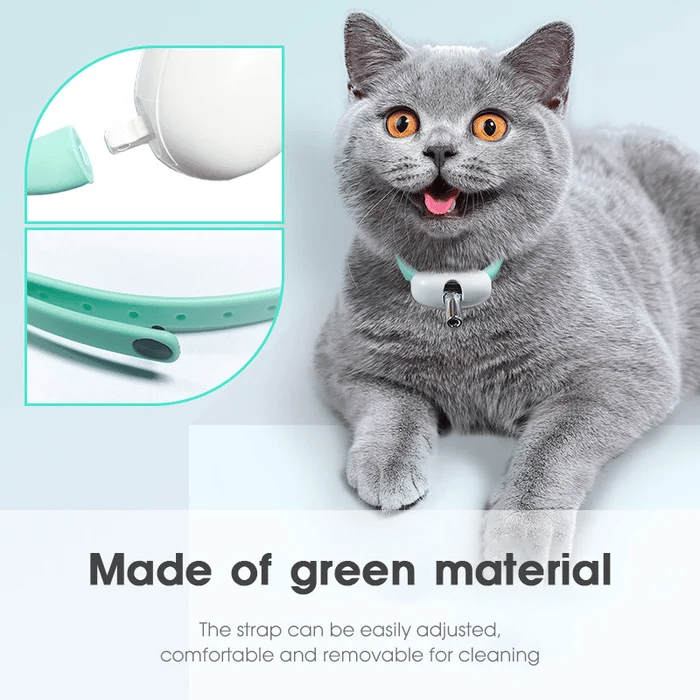 🔥BUY 3 SAVE 30% & FREE SHIPPING—Electric Smart Amusing Collar for Kitten