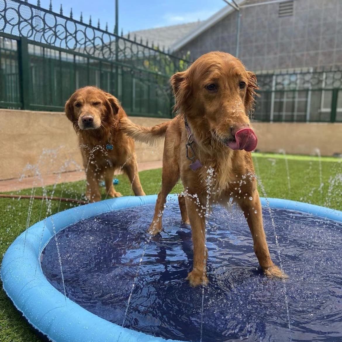 🔥Early Summer Promotion 50% OFF🔥🔥 Non-Slip Splash Pad for Kids and Dog