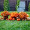 🎃Early Halloween Sale 50% OFF🍁Fall Artificial Flowers for Outdoors