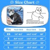 Cat Harness & Leash