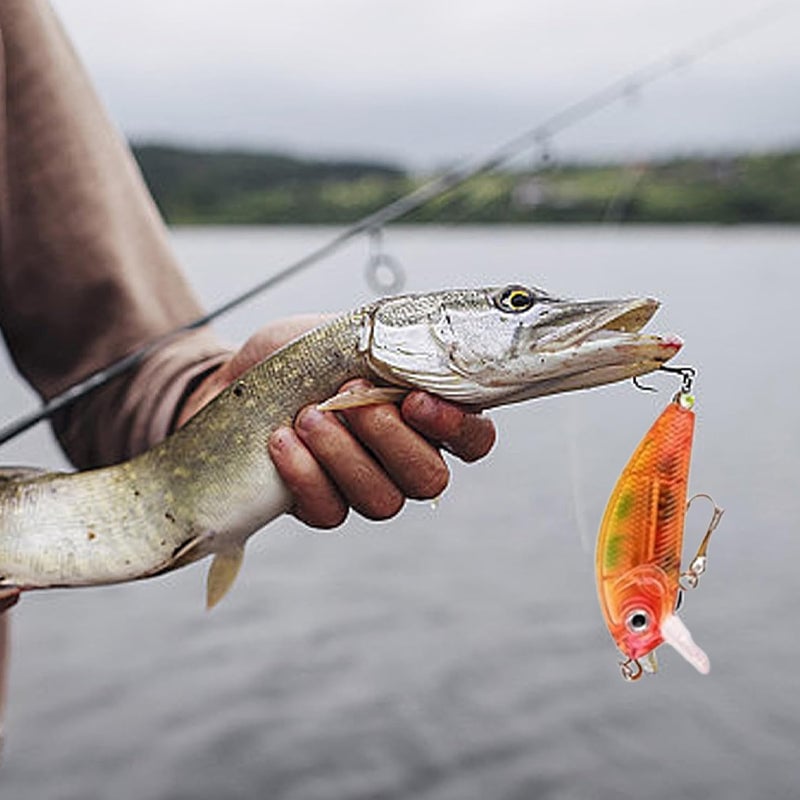🔥Last Day 60% OFF🔥24 Days Fish Tackle Set Advent Calendar