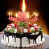 SUMMER DAY PROMOTIONS- SAVE 50% OFF- Magic Flower Birthday Candle- BUY 4 GET FREE SHIPPING