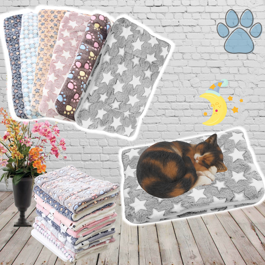 ⚡⚡Last Day Promotion 48% OFF - Calming Cat Blanket🔥🔥BUY 2 GET 1 FREE)