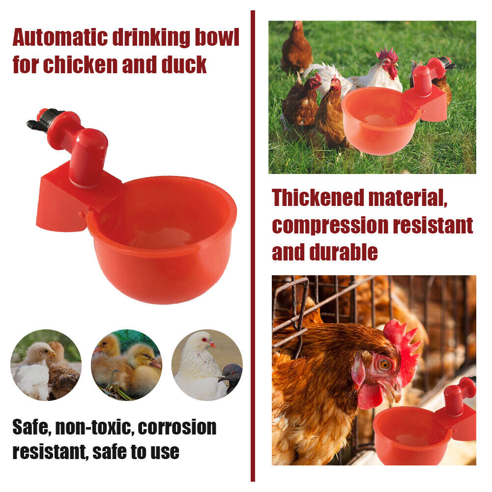 🔥Limited Time Sale 48% OFF🎉Automatic Poultry Water Bowl 3Pcs/set--buy 5 get 5 free & free shipping（30pcs）