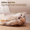 (Last Day Promotion - 50% OFF) Natural Silvervine Stick Cat Chew Toy- BUY 5 Get Extra 20% Off