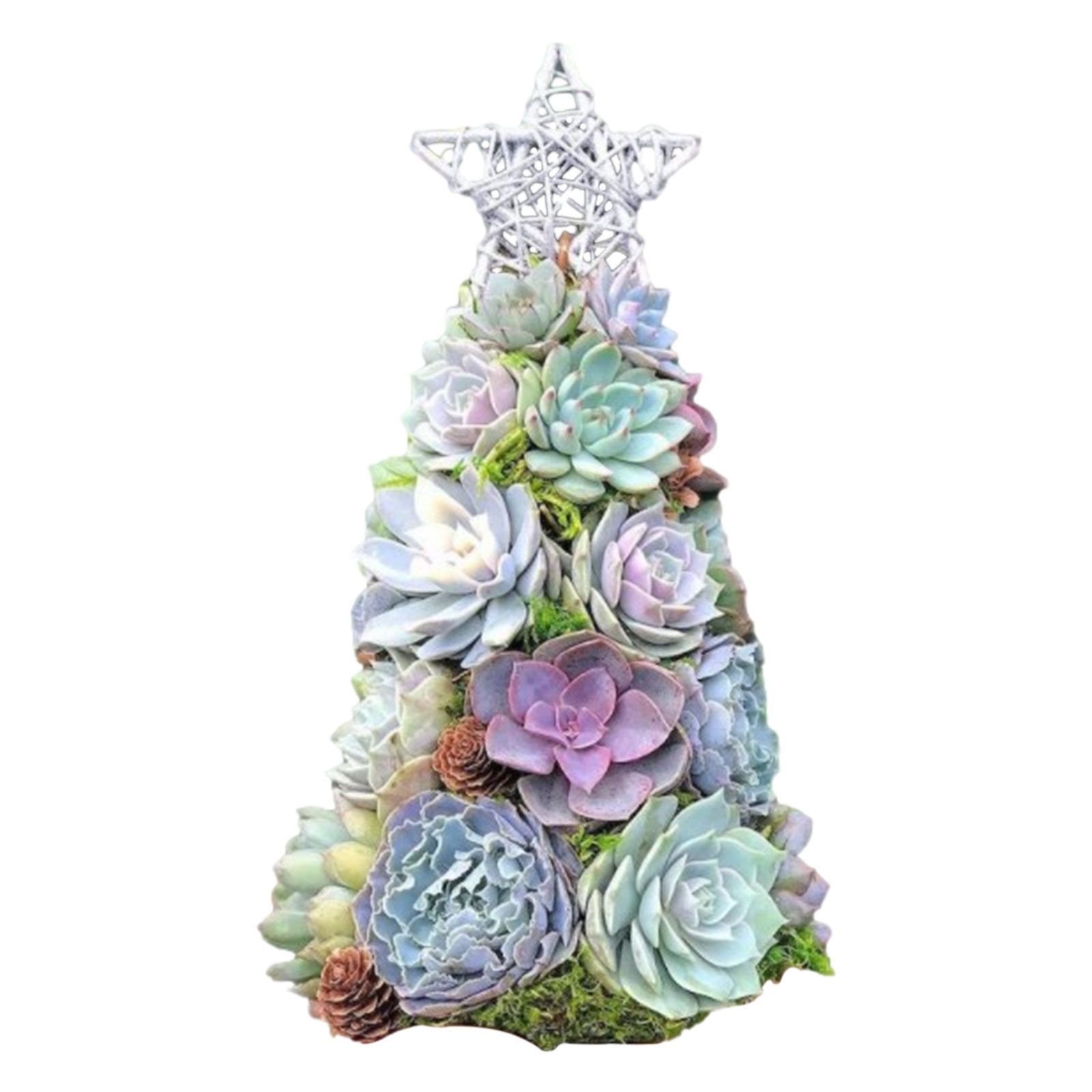 🎄Early Christmas 50% OFF🎄 2023 Siqular® Succulent Christmas Tree