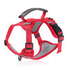 Vente chaude - 49% de réduction🔥Harnais anti-traction pour chien🐾🐾