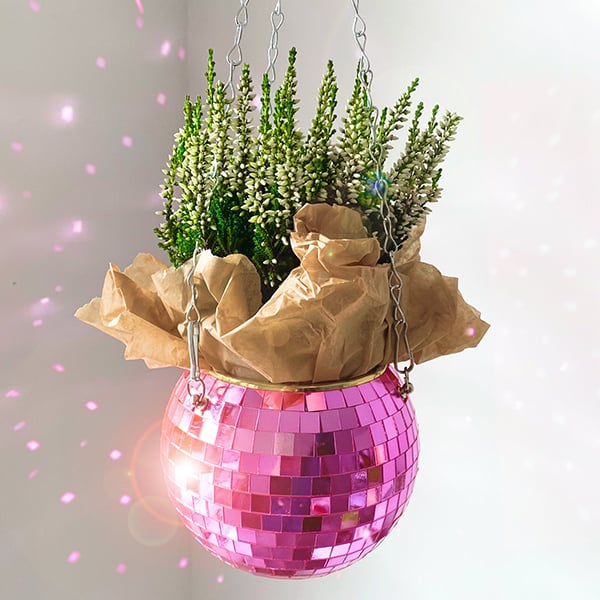 🎁TikTok Last Day Sale - 70% OFF🔥Disco Ball Planter