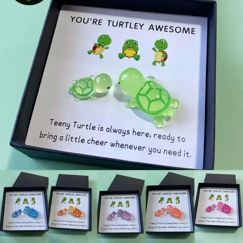 🐢Turtle Gift Box Set -